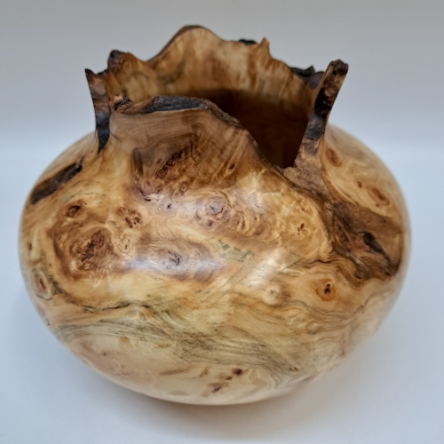 JW-252 Colorado Aspen Burl Hollow Woodturning $225 at Hunter Wolff Gallery